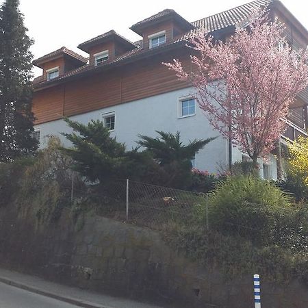 Mayerhofer House Linz Bagian luar foto