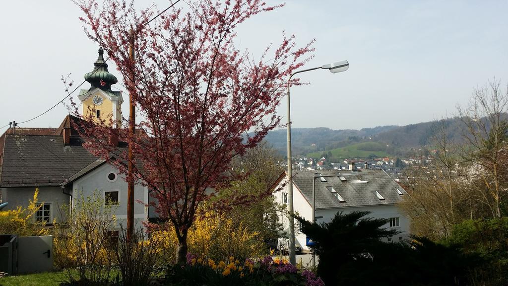 Mayerhofer House Linz Bagian luar foto