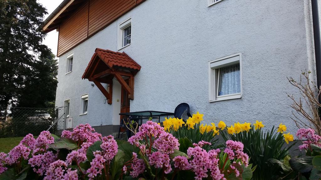 Mayerhofer House Linz Bagian luar foto