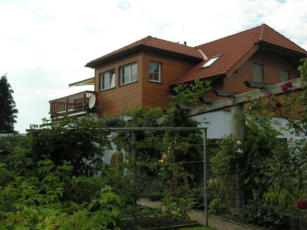 Mayerhofer House Linz Bagian luar foto